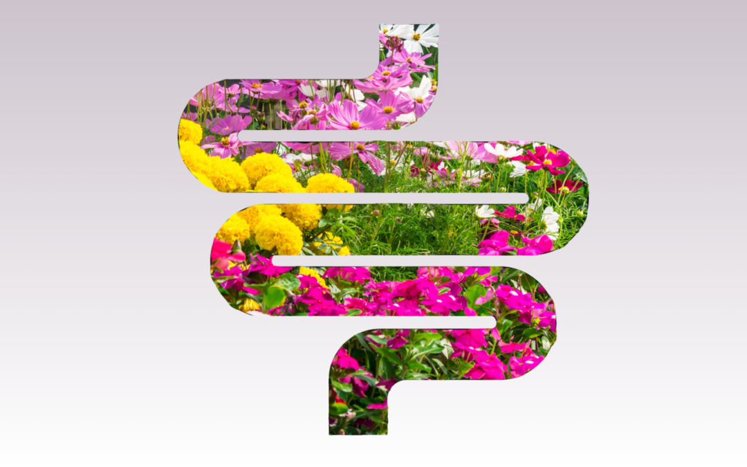 Your Gut Is Like a Garden
