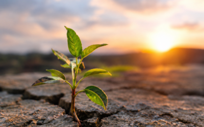 Why Resilience Matters